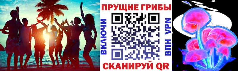 Псилоцибиновые грибы Psilocybe Богучар