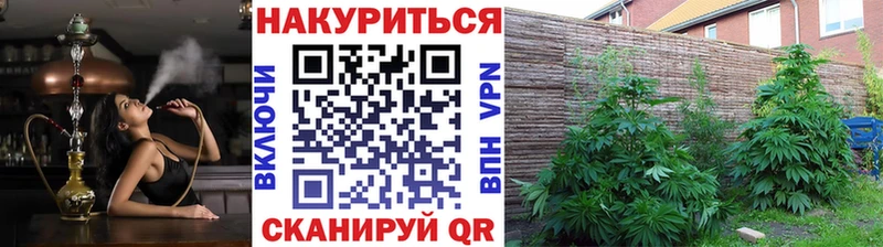 Канабис VHQ  Богучар 